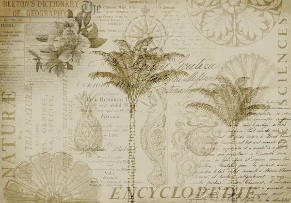 Tropical Botanical Exploration by Andrea Haase