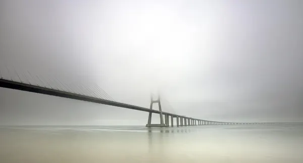 Vast Bridge in Fog by Jorge Feteira