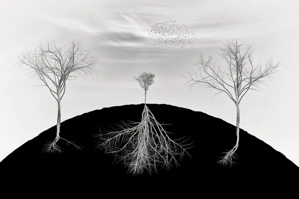 Bare Branches Deep Roots by Marchevca Bogdan