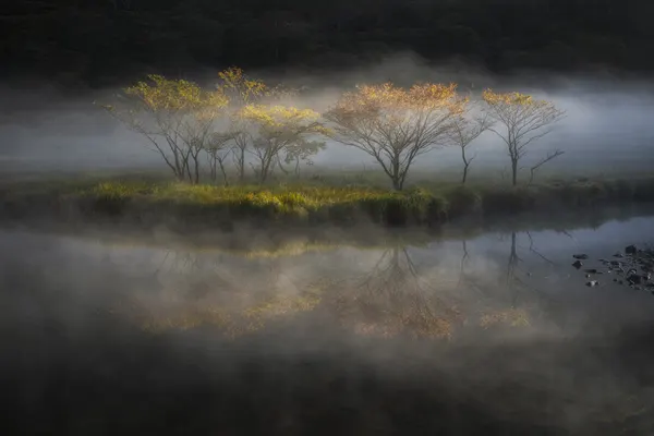 Misty Morning Reflections by Akira Nagase