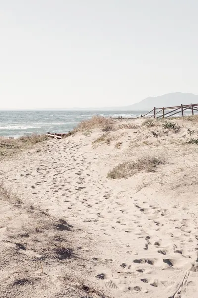 Serene Beach Path by Pictufy Studio III