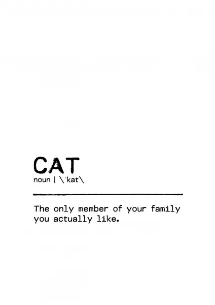 Funny Cat Definition by Orara Studio