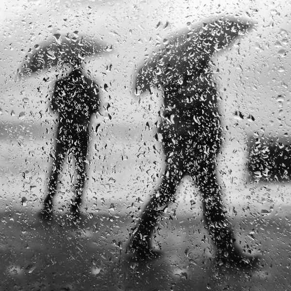 * by Josefina Melo
