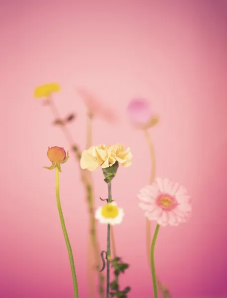 Soft Pastel Flowers by Julia Ramiro