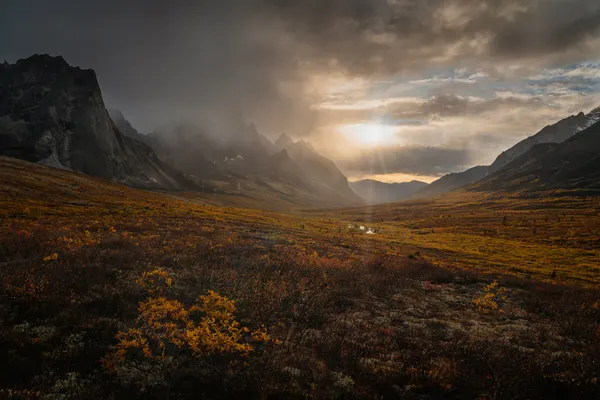 Golden Valley Sun Rays by Willa Wei