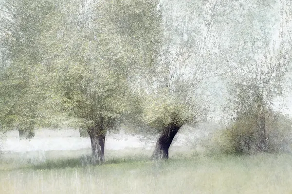 Young green by Nel Talen