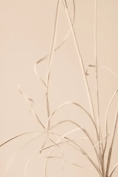 Muted Botanical Study by Pictufy Studio III