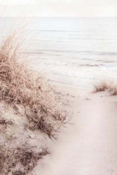 Serene Coastal View by Pictufy Studio III