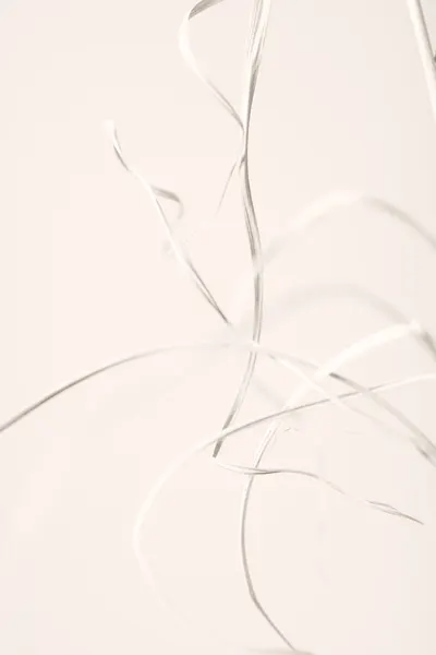 Delicate White Flow by Pictufy Studio III