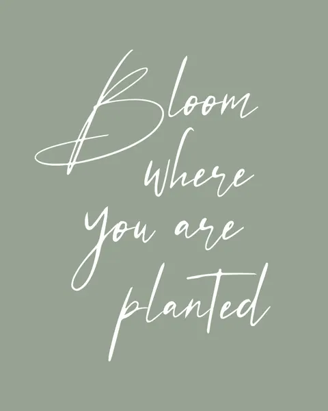 Bloom Where Planted by KsanaKalpa