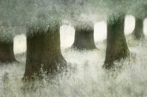 Connected by Nel Talen
