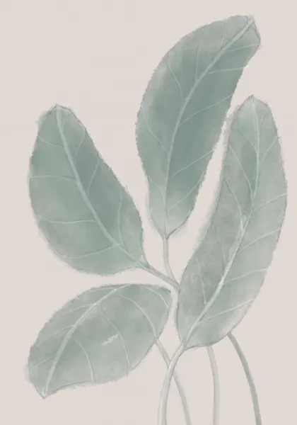 Soft Sage Leaves by Pictufy Studio II