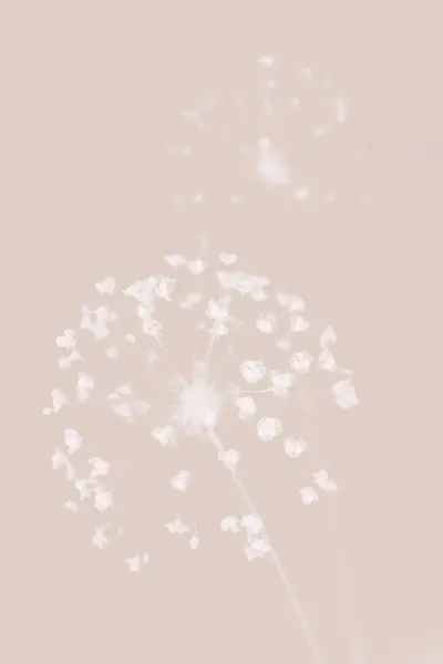 Dreamy Pastel Flowers by Pictufy Studio III