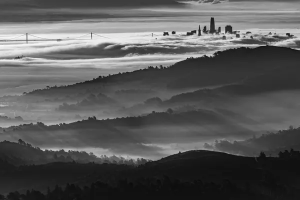 Misty San Francisco Skyline by Yun Mao