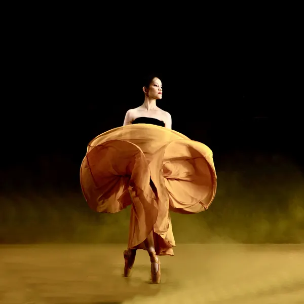 Ballerina In Golden Flow by Agus Adriana
