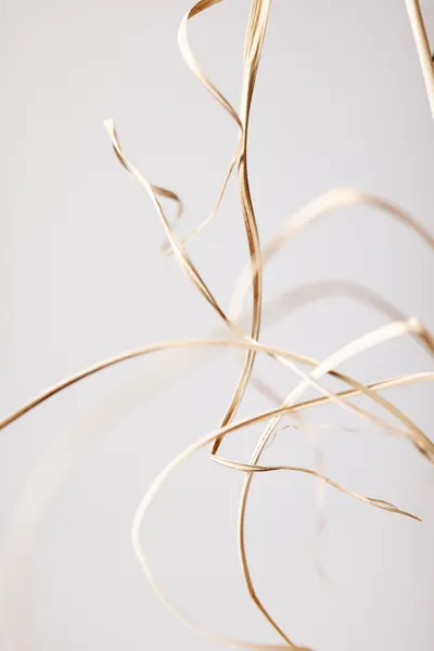 Delicate Golden Curves by Pictufy Studio III