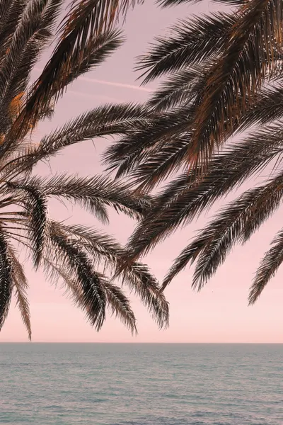 Tropical Pink Sky Ocean by Pictufy Studio III