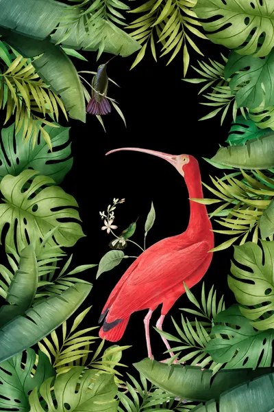 Scarlet Ibis Tropical Birds by Andrea Haase