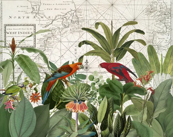 Tropical Map Exploration by Andrea Haase
