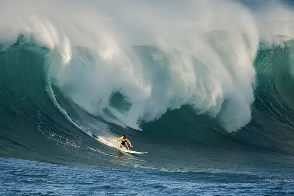 Surfer on Giant Wave by David H Yang