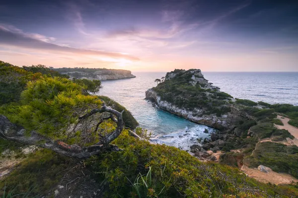 Baydreams by Stefan Hefele