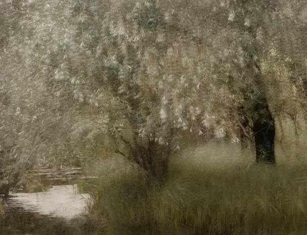 At the riverbank by Nel Talen