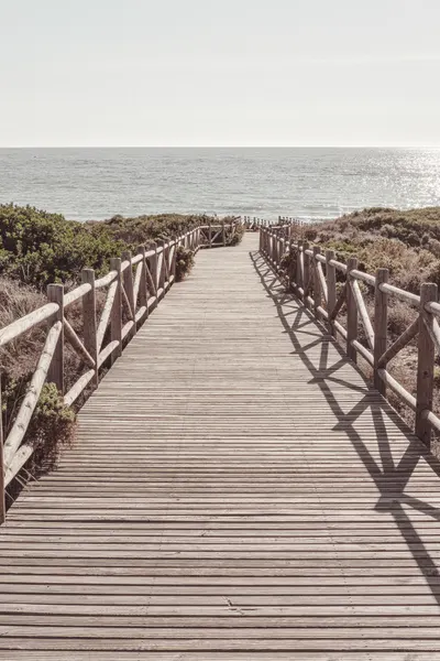 Coastal Boardwalk Path by Pictufy Studio III