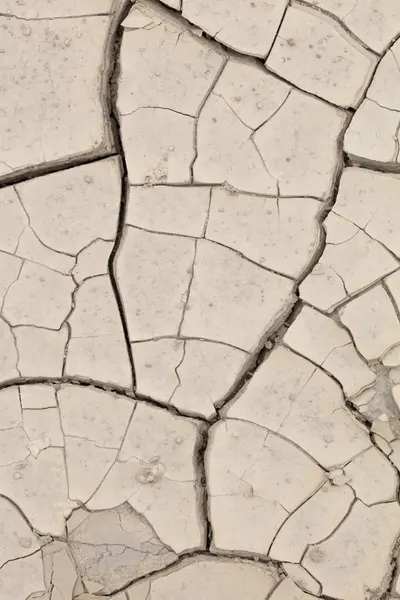 Cracked Earth Texture by Pictufy Studio III