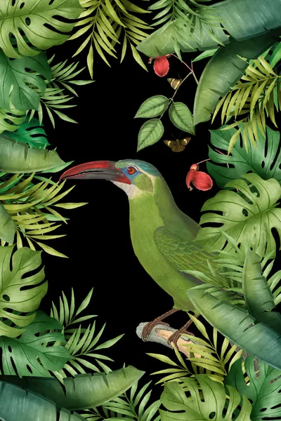 Green Toucan Jungle Canopy by Andrea Haase