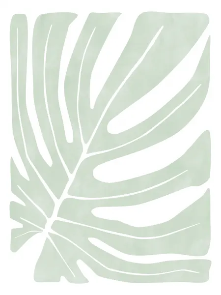 Sage Green Monstera Leaf by Elena Ristova