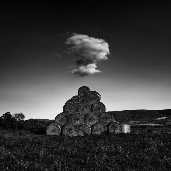 Monochrome Hay Pyramid by Karol Važan