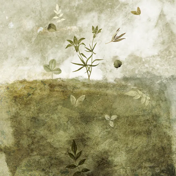 Olive by Emel Tunaboylu