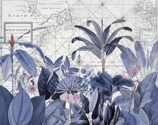 Blue Tropical Map by Andrea Haase