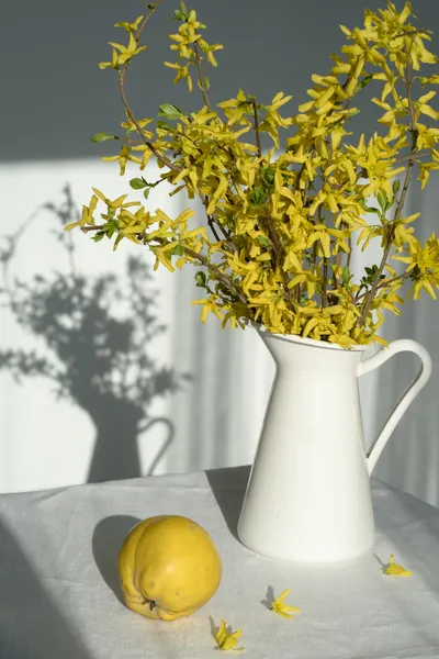 Bright Yellow Spring Flowers by Larisa Usmanova