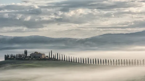 Tuscan Morning Mist by Luca Domenichi