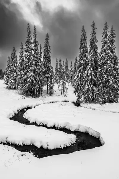 Snowy Forest Stream by Ovidiu Satmari