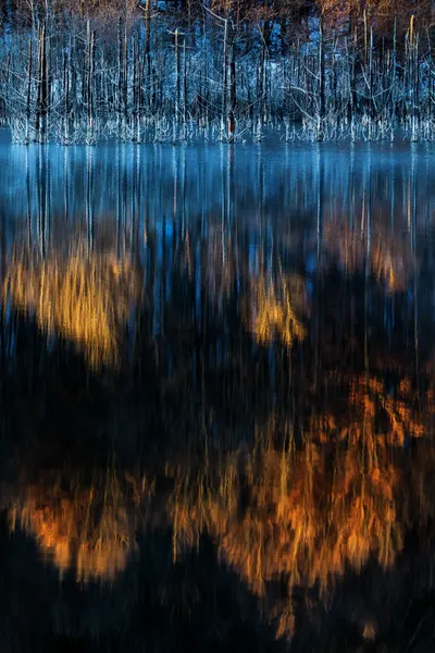 Golden Blue Reflections by Dan Mirica