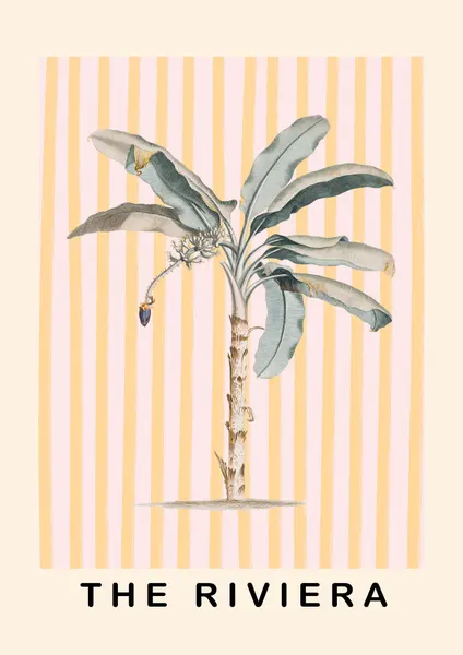 Riviera Banana Palm by Talitha McQueen