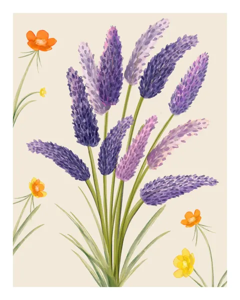 Lavender Dreams by Emel Tunaboylu
