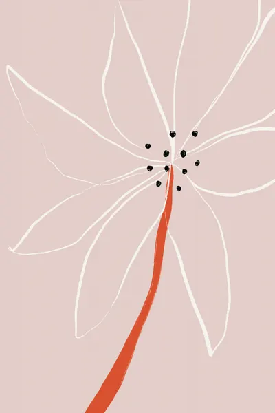 Delicate Abstract Flower with White Petals by uplusmestudio