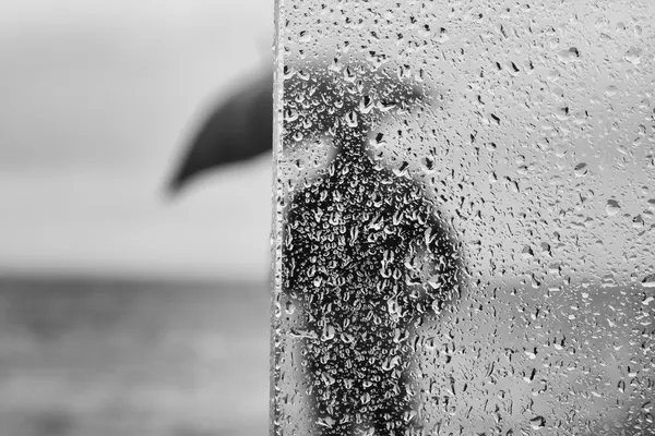 Rainy Window Silhouette by Josefina Melo