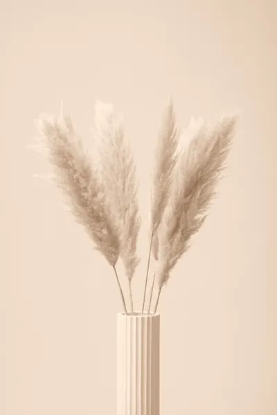 Soft Neutral Pampas Grass by Pictufy Studio III