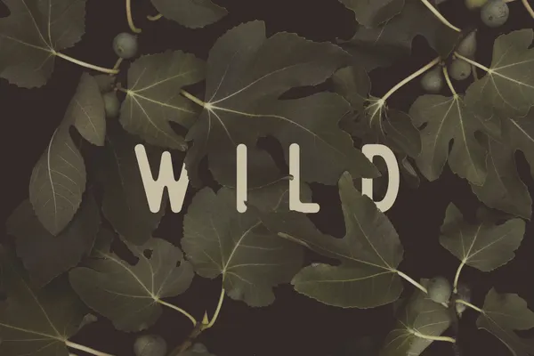 Wild Fig Foliage by Florent Bodart