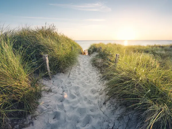 To the Beach by Stefan Hefele