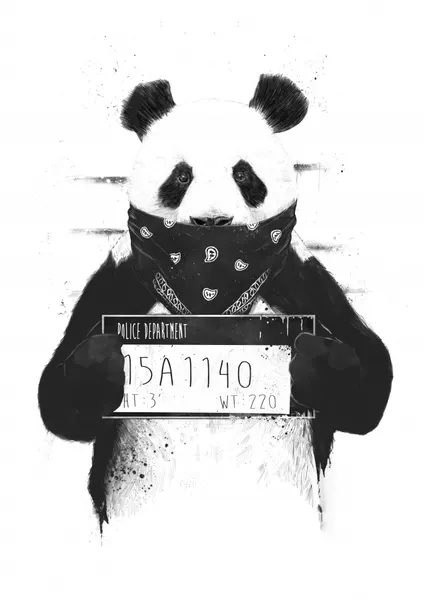 Gangster Panda Mugshot by Balazs Solti
