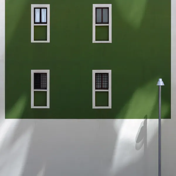 Geometric Green Wall by Fiorenzo Rondi