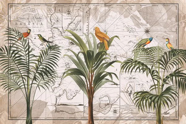 Vintage Tropical Birds Map by Andrea Haase