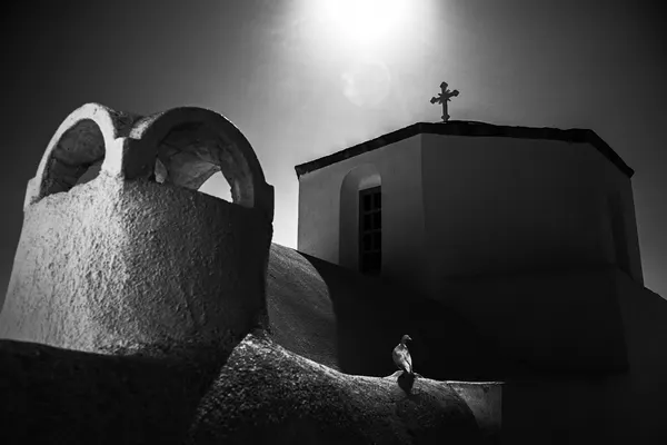 Sunlit Church Pigeon by Milan Uhrin  AFIAP AZSF