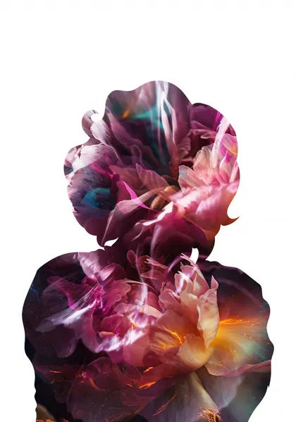 Dreamy Floral Silhouette by Sarah Manovski