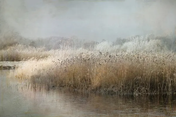 Wintermorning by Nel Talen